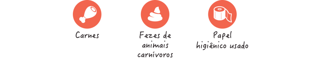 como-compostar-alimentos-proibidos
