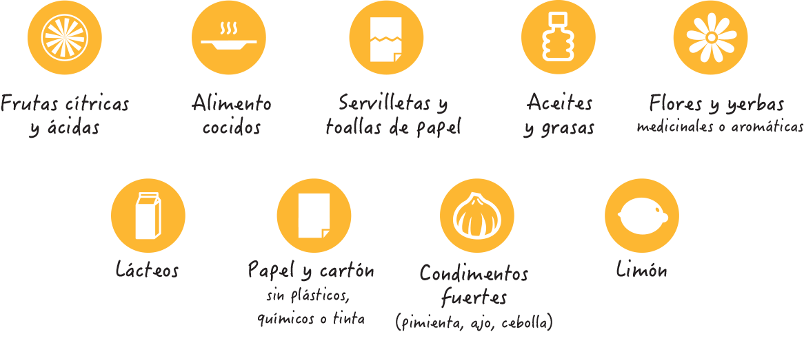 es-como-compostar-alimentos-moderados